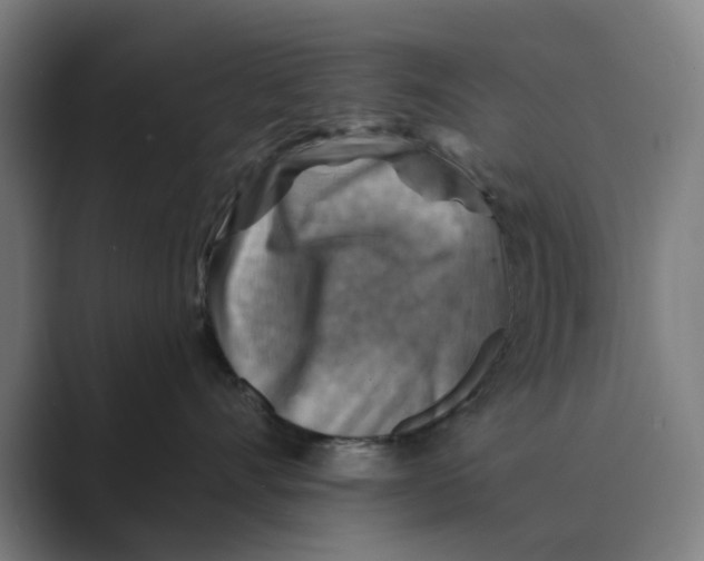 X0000088750528200706282207