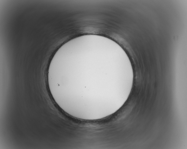 X0000088750529200706282207