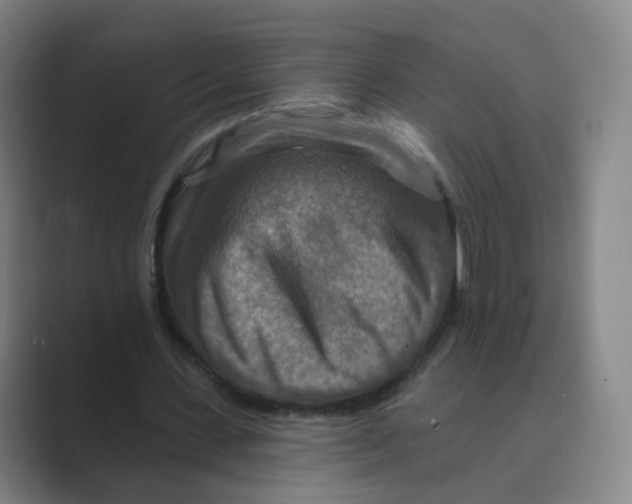 X0000088750531200706282207