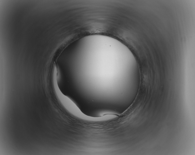 X0000088750539200706282207