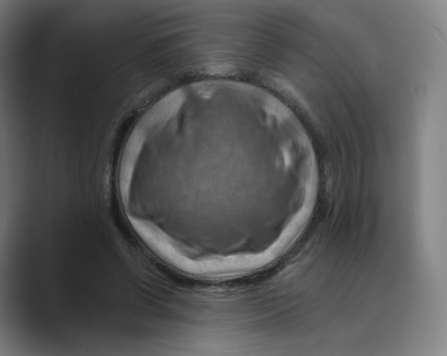 X0000088750542200706282207