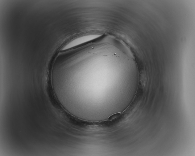 X0000088750544200706282207