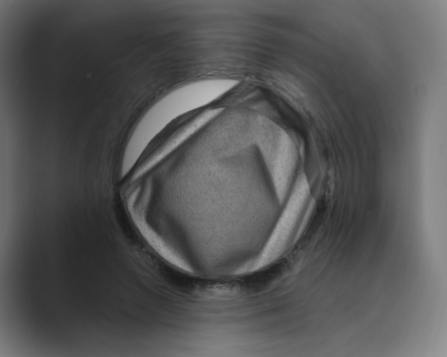 X0000088750546200706282207