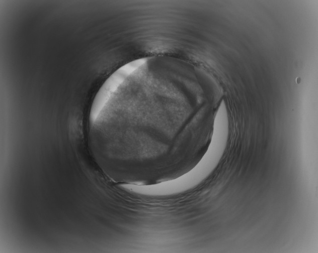 X0000088750547200706282207