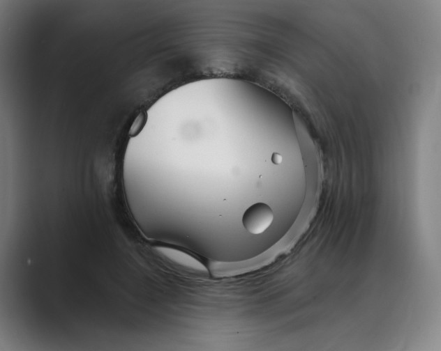 X0000088750548200706282207