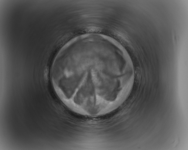 X0000088750550200706282207