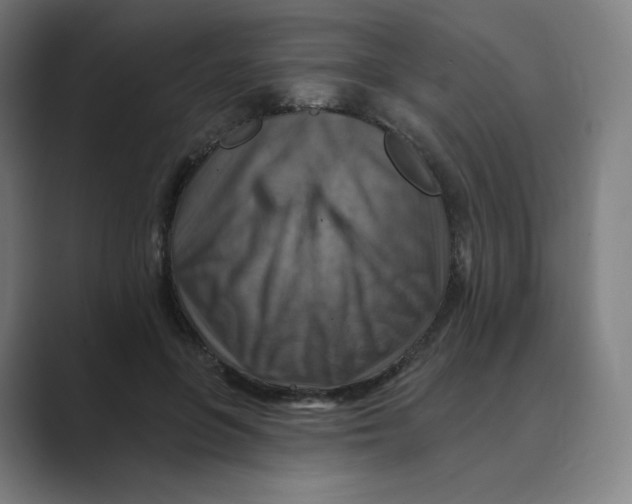 X0000088750551200706282207