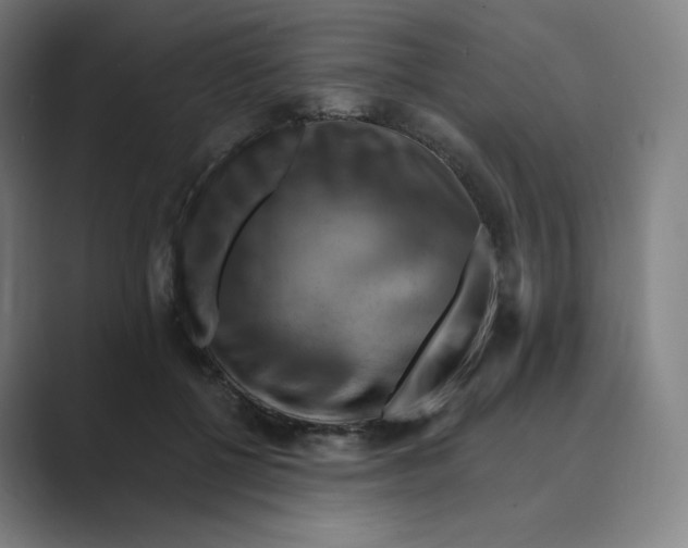 X0000088750552200706282207