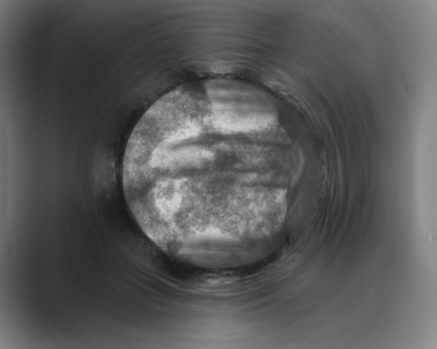 X0000088750555200706282207