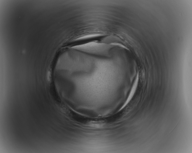 X0000088750556200706282207