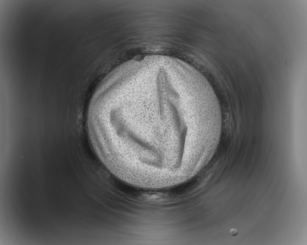 X0000088750557200706282207