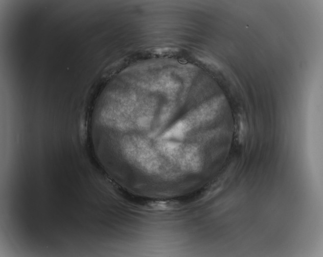 X0000088750558200706282207