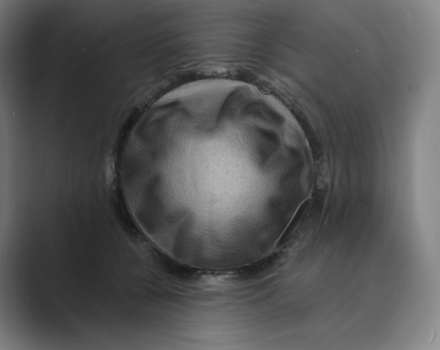 X0000088750560200706282207