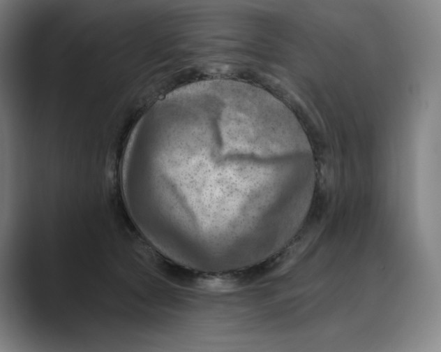 X0000088750561200706282207