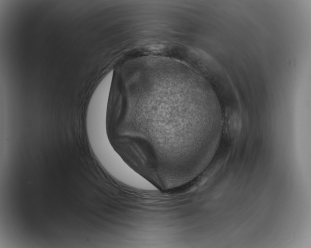 X0000088750562200706282207