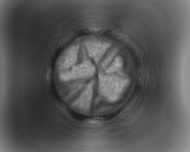 X0000088750563200706282207