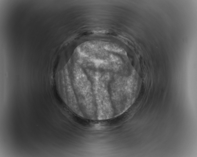 X0000088750564200706282207