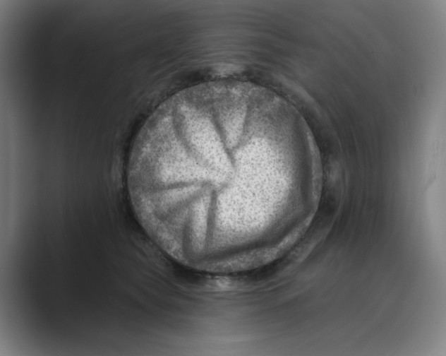 X0000088750565200706282207