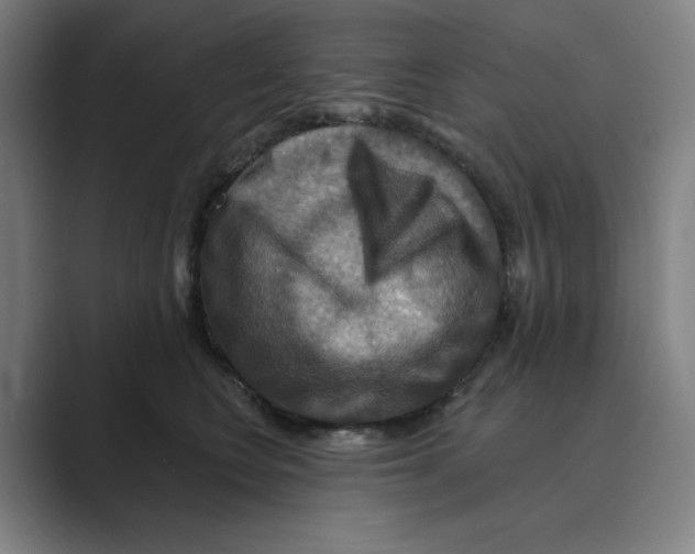 X0000088750566200706282207