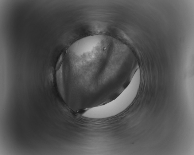 X0000088750570200706282207