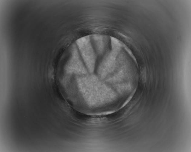 X0000088750571200706282207