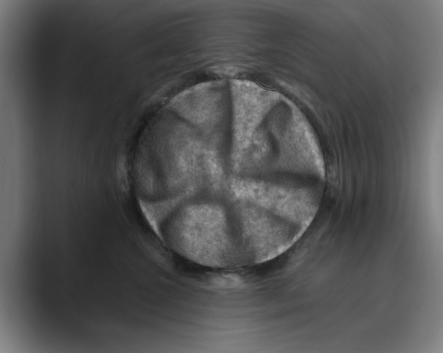 X0000088750572200706282207