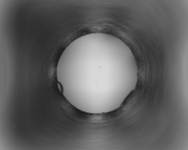 X0000088750574200706282207