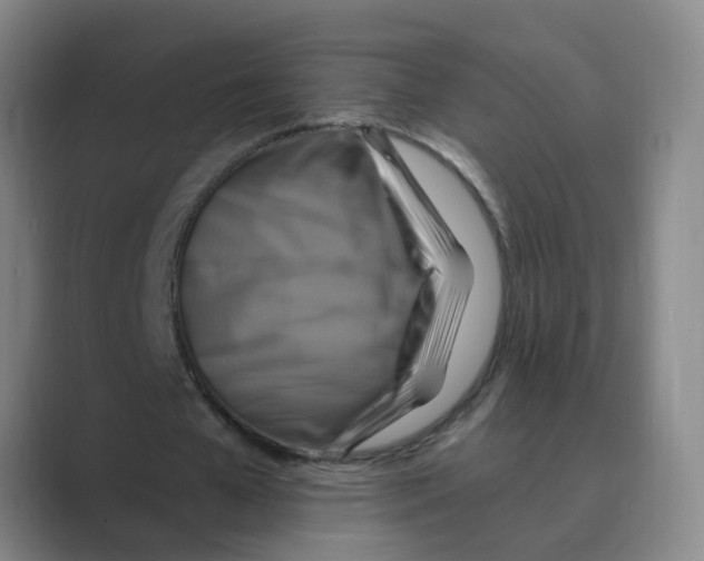 X0000088750577200706282207