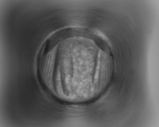 X0000088750580200706282207