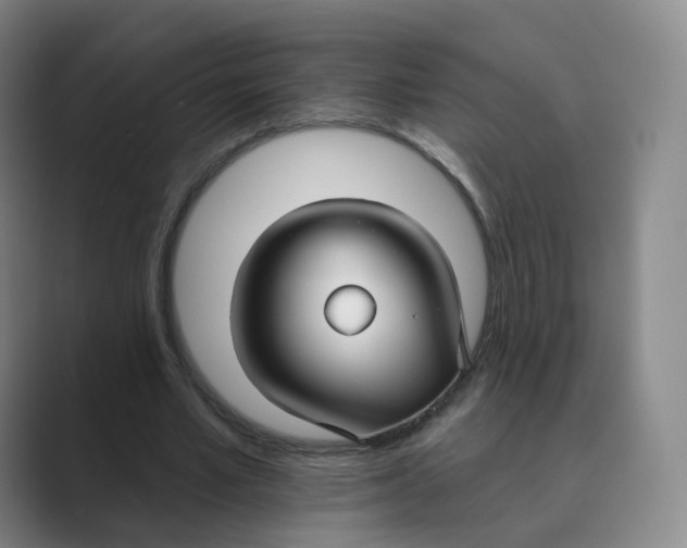 X0000088750581200706282207