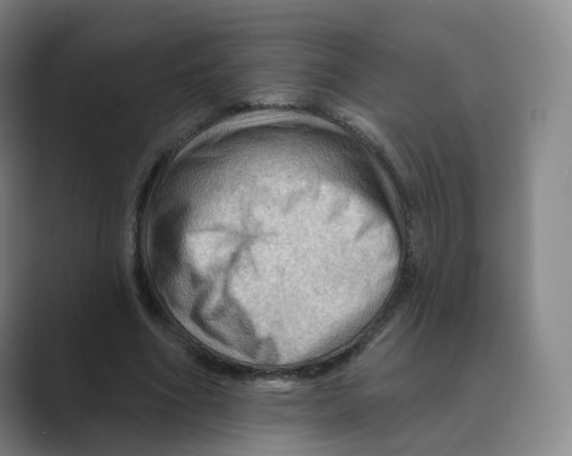 X0000088750586200706282207