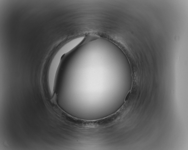 X0000088750587200706282207