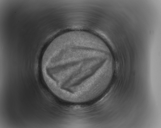 X0000088750588200706282207