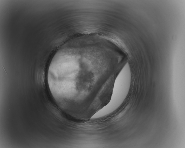 X0000088750589200706282207