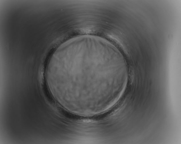 X0000088750590200706282207