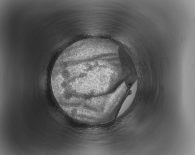 X0000088750591200706282207