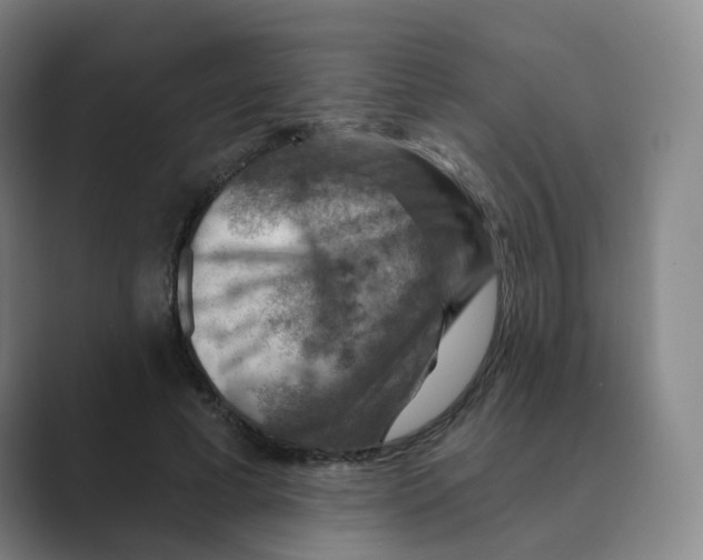 X0000088750593200706282207