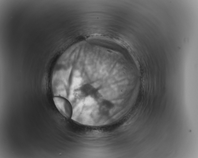 X0000088750594200706282207