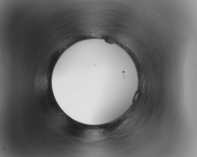 X0000088750595200706282207