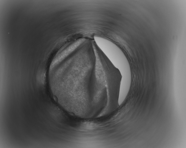 X0000088750596200706282207