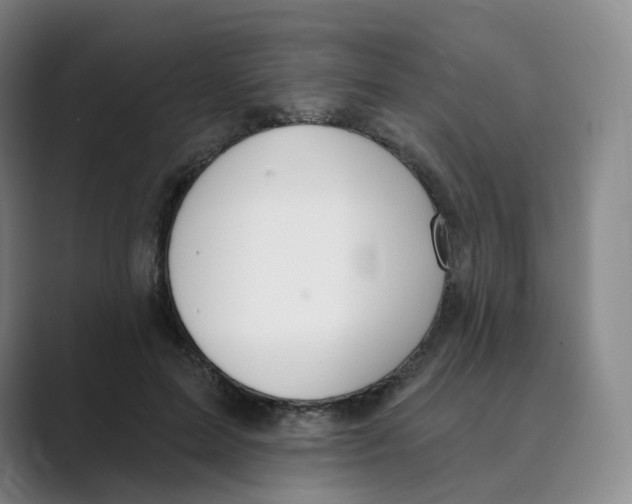 X0000088750599200706282207