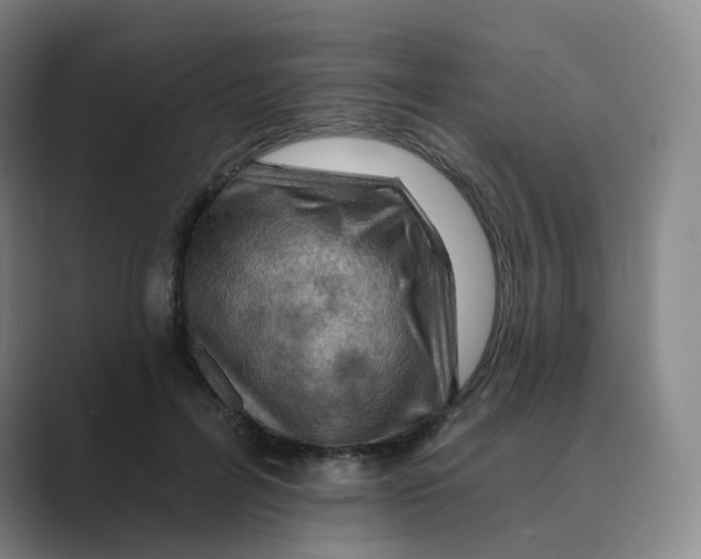 X0000088750600200706282207