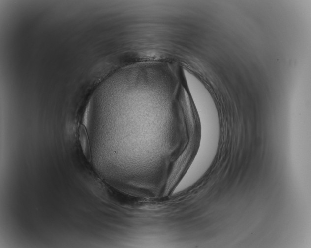 X0000088750601200706282207