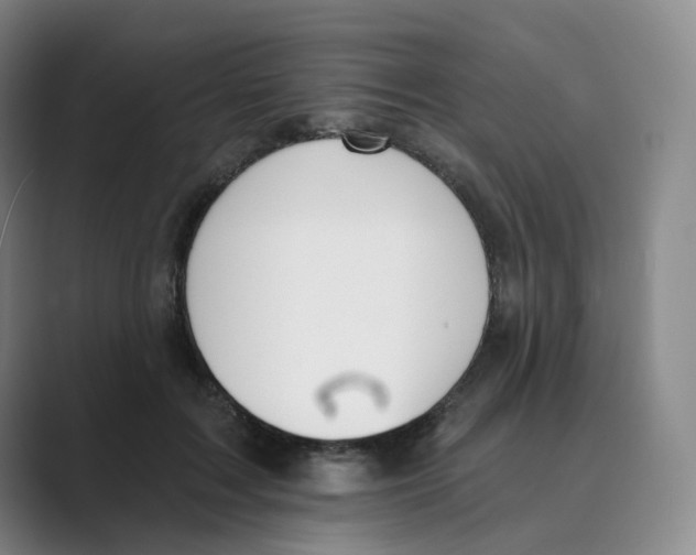 X0000088750603200706282207