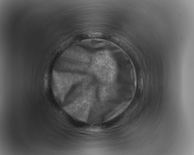 X0000088750604200706282206