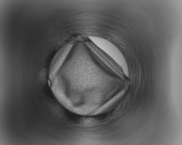 X0000088750605200706282206