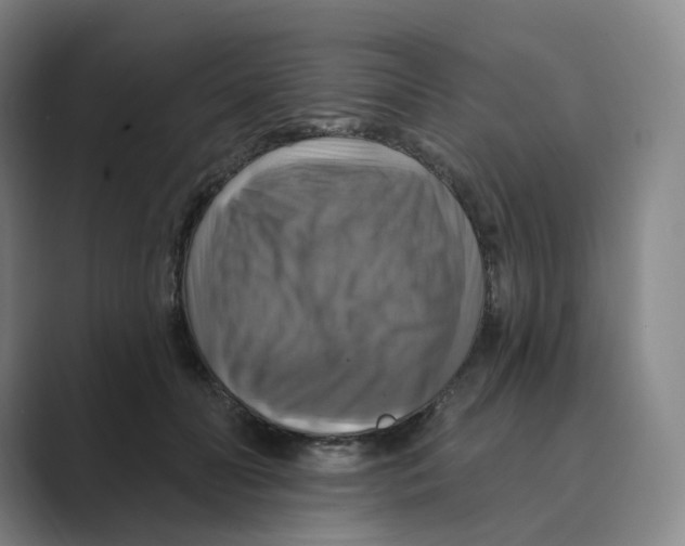 X0000088750606200706282206