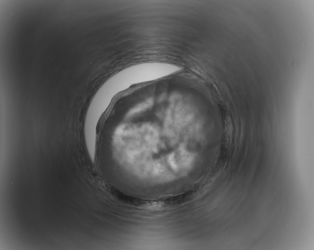 X0000088750609200706282206