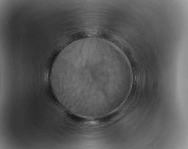 X0000088750610200706282206