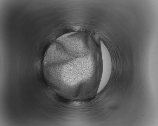 X0000088750611200706282206